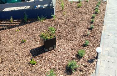 Domki Rekreacyjne "Błękitne Wzgórze" - Foto 6