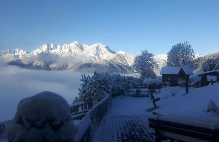 Berggut Niggler - Pratum - Foto 51