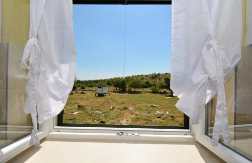 Apartman Marija - Photo 72