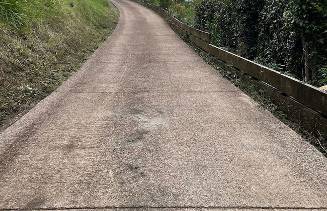 Hidden Valley Waiheke - Foto 22