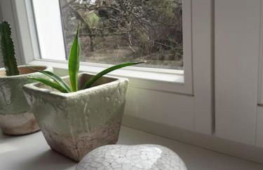 Gäste- und Monteurwohnung alte Gärtnerei - Photo 6