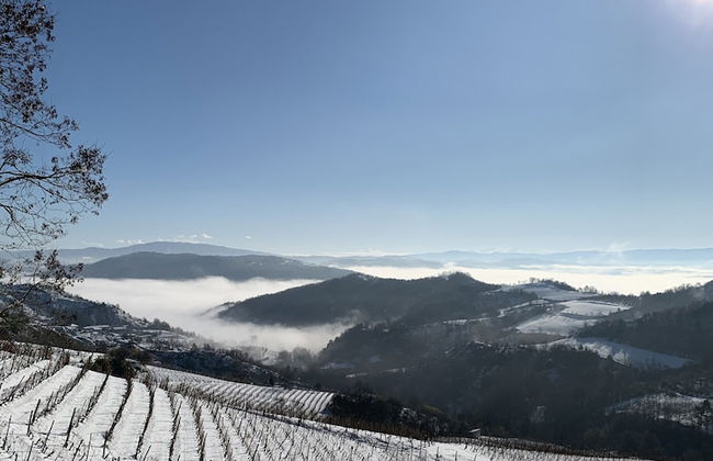 Cascina Bertolotto Wine Resort. - Foto 29