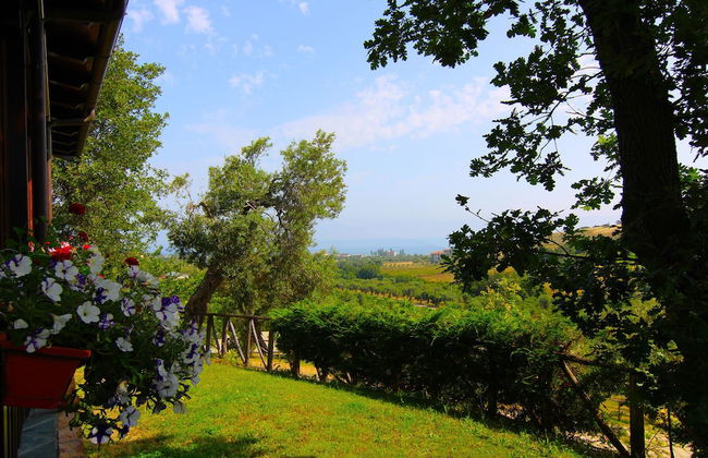 Agriturismo Vulcano - Foto 22