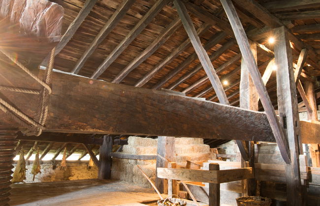 Basque Farmhouse + Cider House Tour - Foto 8