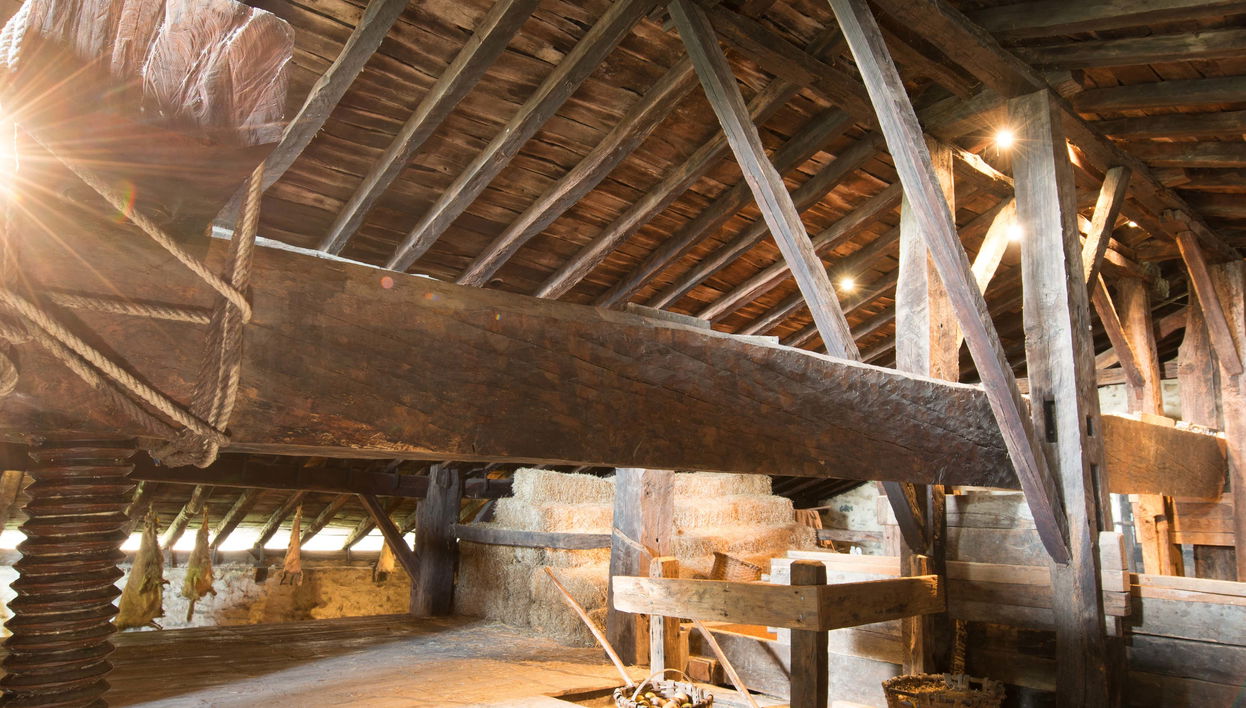 Excursão a uma casa rural basca + Sidraria basca