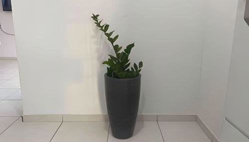 Próx a orla, 14 pessoas, ar condicionado e garagem - Foto 5