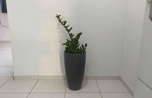 Próx a orla, 14 pessoas, ar condicionado e garagem - Foto 5