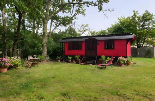 La roulotte d'alany - Foto 1