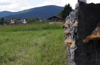 Ferienwohnung Bauer - Foto 25