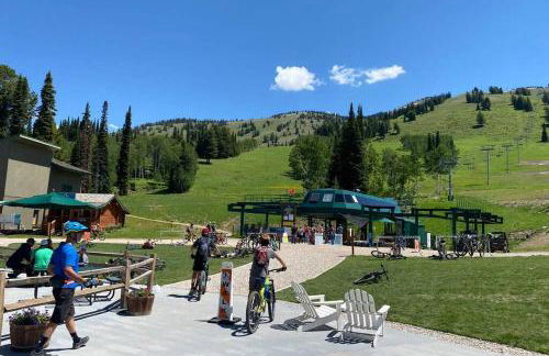 Bear Lair at Teton Valley Idaho - Foto 28