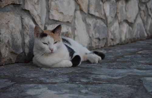 Apartments Cekada - Photo 60