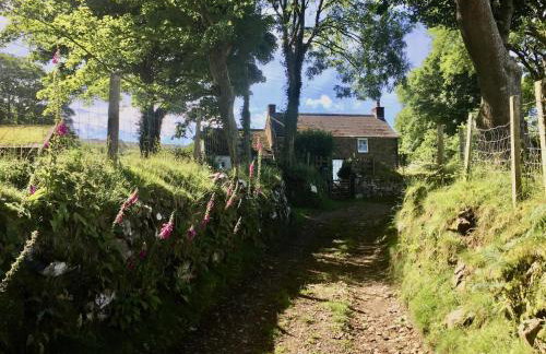 Polly's Barn, Penrhyn - Foto 26