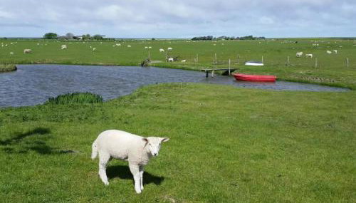 Schäferhof Dircks Fewo 4 - Foto 3