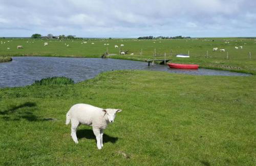 Schäferhof Dircks Fewo 4 - Foto 3