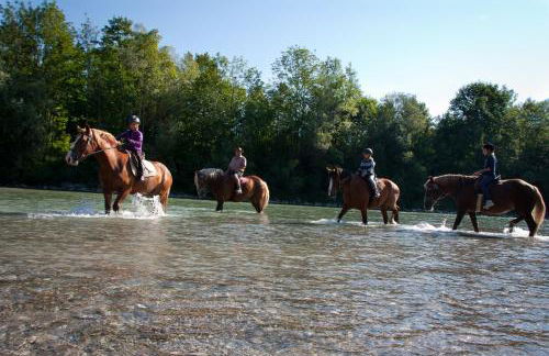 Lamprechthof - Foto 21