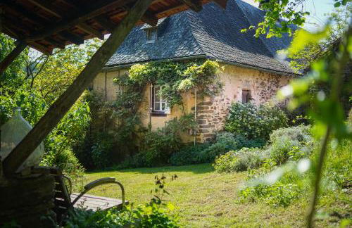 Le Papillon Bleu - Foto 3