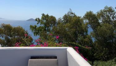 PATMOS Confidential - Foto 4