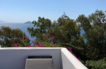 PATMOS Confidential - Foto 4