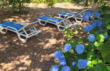 CHALÉ, Pedra, Isolada, Natureza, Rio - Ecoturismo - Foto 16