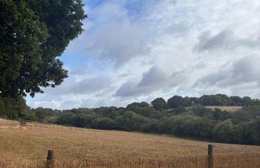 Dolmans Retreat - Photo 12