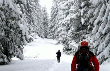 Petrini Gonia - Foto 32