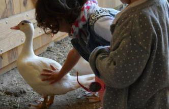 Agriturismo Antico Loggiato - Foto 41