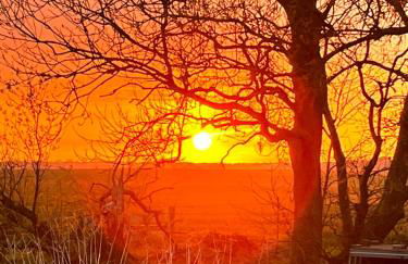 Ferienwohnungen Dargatz - Foto 37