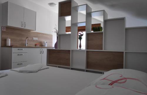 Apartman Anicic - Foto 12