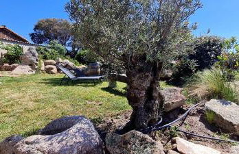 Bergerie A Sapara - Foto 17