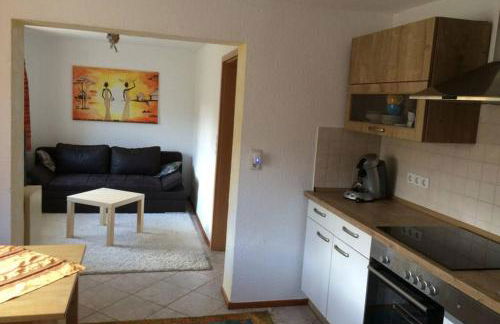 Urlaub mit Blick auf Schiltachs Fachwerkhäuser - Foto 7