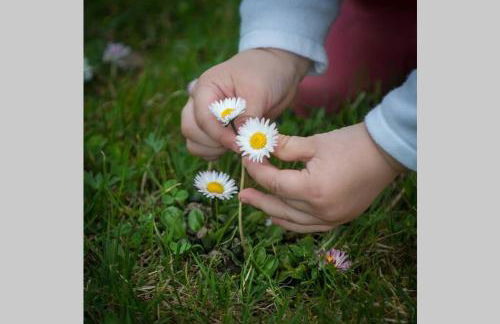 5Sterne Ferienwohnung im Fachwerk mit Bergblick in Alleinlage und großem Garten, Infrarotkabine - Foto 32
