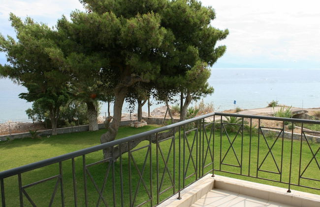 Punda 4 Seasons - Foto 33