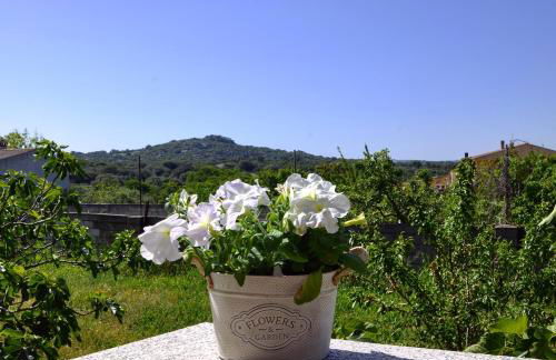 Casa Duminicheddha, mare e relax in Gallura - Foto 6