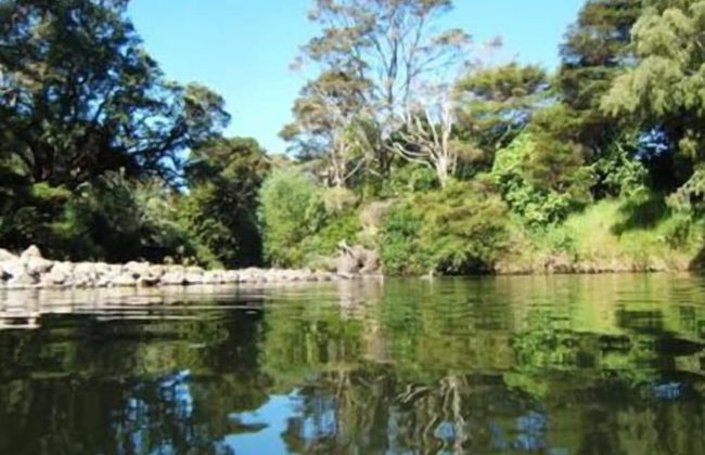 Te Mata Lodge - Foto 30