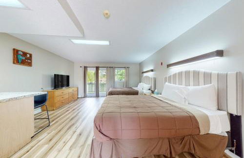 Walk to Douglas Lake Dog Friendly W Peaceful Views - Foto 1