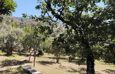 Green Garden appartment with mountain view, Vitala - Foto 6