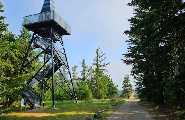 5 Star Holiday Home in Hovborg - Foto 41