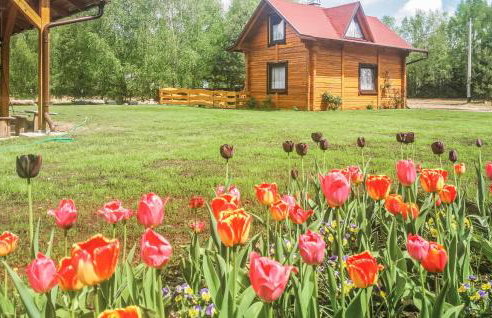 Awesome Home In Osiek With Kitchenette - Foto 6