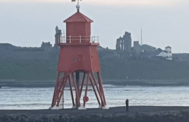 South Shield's Hidden Gem Amethyst 3 Bedroom House - Photo 11