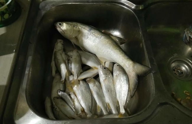 D'Pantai Homestay Kuala Sg. Baru - Photo 5