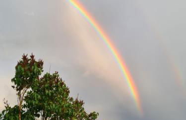 Ferienhaus Alpenblick - Foto 31