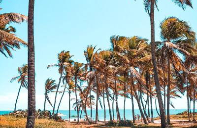Pitaya Beach House - Charming Village By the Sea - Foto 20