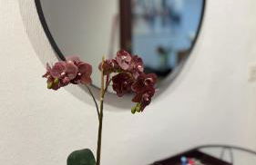 Puerta del Mar 2 - Foto 11