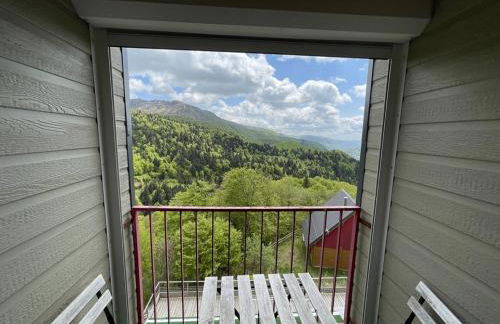 Bel appartement duplex proche des pistes avec balcon et parking - FR-1-787-16 - Foto 9