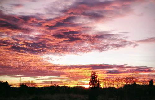 Hello Oliva Beach Ana - Photo 29