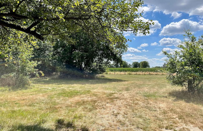 Spacious Farmhouse near Forest in Stramproy - Foto 36