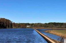 Southern Magnolia House with Porch Swing - Foto 26