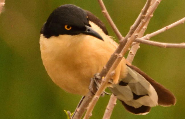 Arroyos y Esteros Private Day Trip - Foto 1