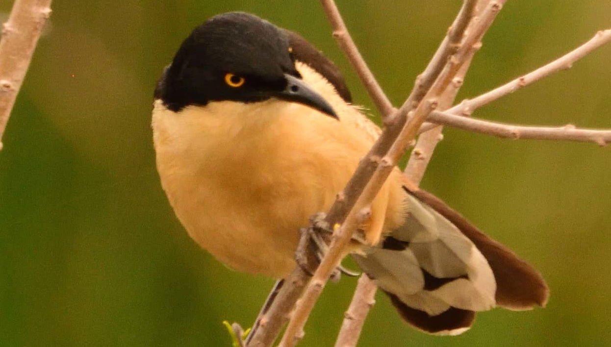 Arroyos y Esteros Private Day Trip