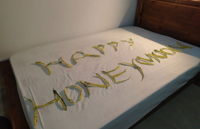 Wilpattu wild villa - Photo 12